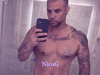 NicoG Super Webcam