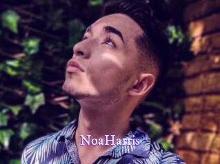 NoaHarris