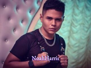 NoahHarris