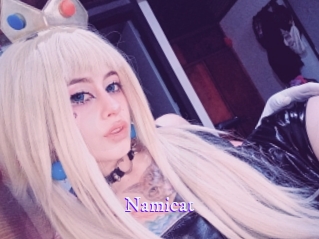 namicat Super Webcam