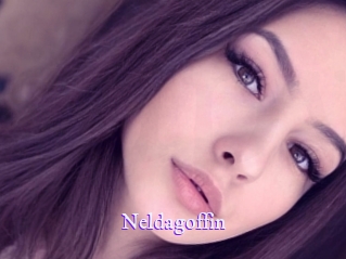 neldagoffin Super Webcam
