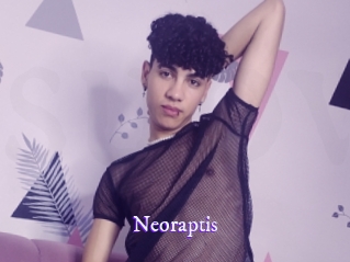 neoraptis Super Webcam