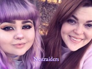 nestraiders Super Webcam