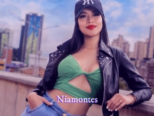 niamontes Super Webcam