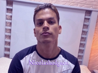 nicolashodgson Super Webcam