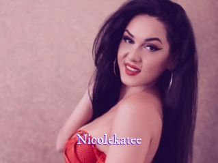 nicolekatee Super Webcam