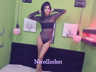 nicolleehot Super Webcam