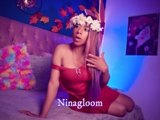 ninagloom Super Webcam