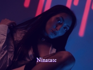 ninatate Super Webcam