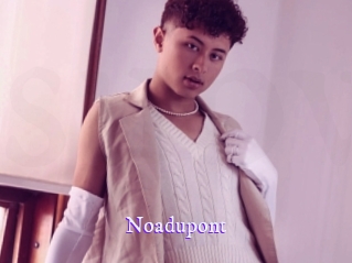 noadupont Super Webcam