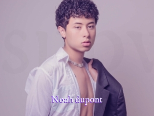 noah_dupont Super Webcam