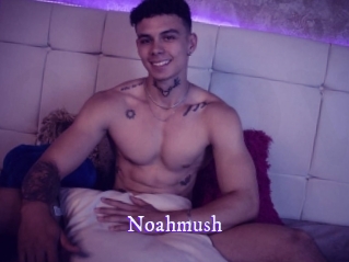 noahmush Super Webcam