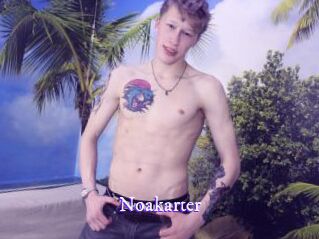 Noakarter