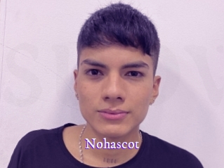 nohascot Super Webcam