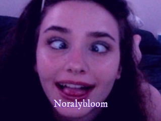noralybloom Super Webcam