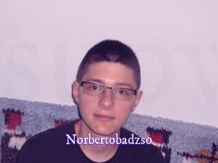 Norbertobadzso