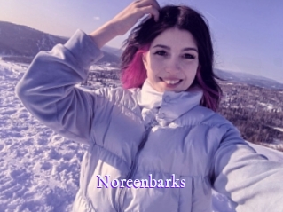 noreenbarks Super Webcam