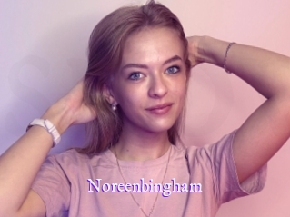 noreenbingham Super Webcam