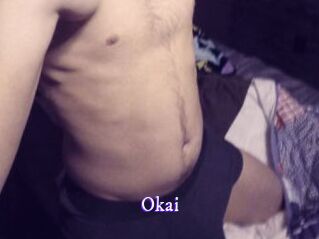 Okai Super Webcam
