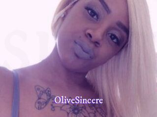OliveSincere Super Webcam