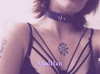 OpalHart Super Webcam