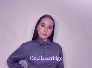 odeliaestridge Super Webcam