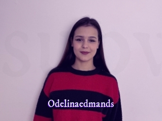 odelinaedmands Super Webcam