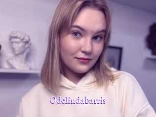 odelindabarris Super Webcam