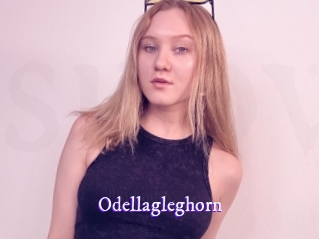 odellagleghorn Super Webcam