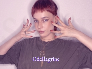 odellagrine Super Webcam