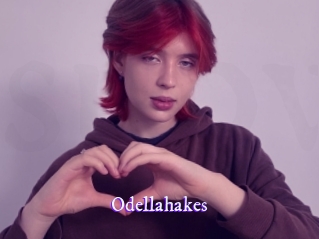 Odellahakes
