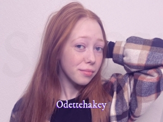 odettehakey Super Webcam