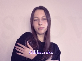 odiliacroke Super Webcam