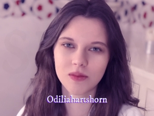odiliahartshorn Super Webcam