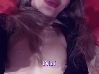 orhid Super Webcam