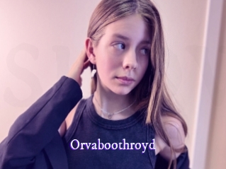 orvaboothroyd Super Webcam