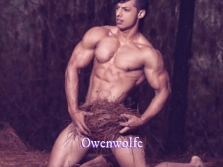 owenwolfe Super Webcam