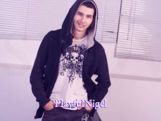 PlayfulNigel