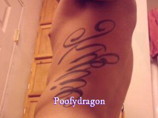Poofydragon