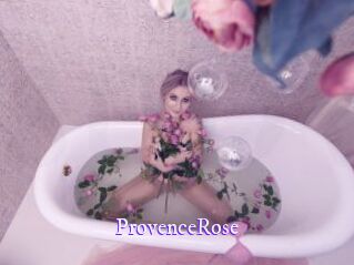 ProvenceRose Super Webcam