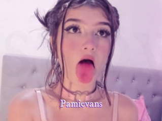 pamievans Super Webcam