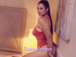 pammelaowen Super Webcam