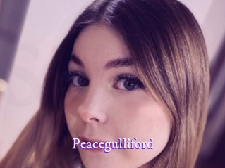 peacegulliford Super Webcam