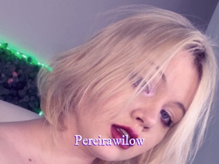 pereirawilow Super Webcam