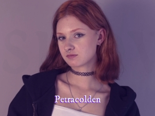 petracolden Super Webcam