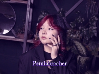Petulabracher