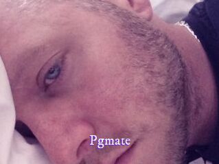Pgmate