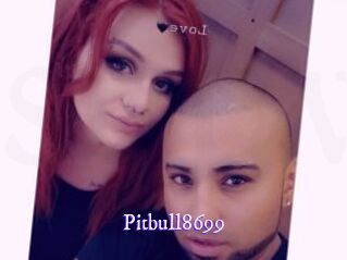 Pitbull8699