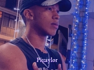 pittaylor Super Webcam