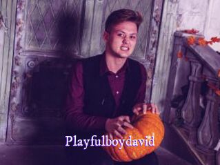 Playfulboydavid